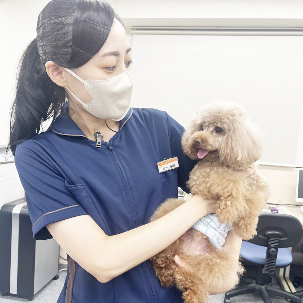 ☆かわいいお客様☆